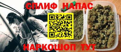 гидра Кулебаки